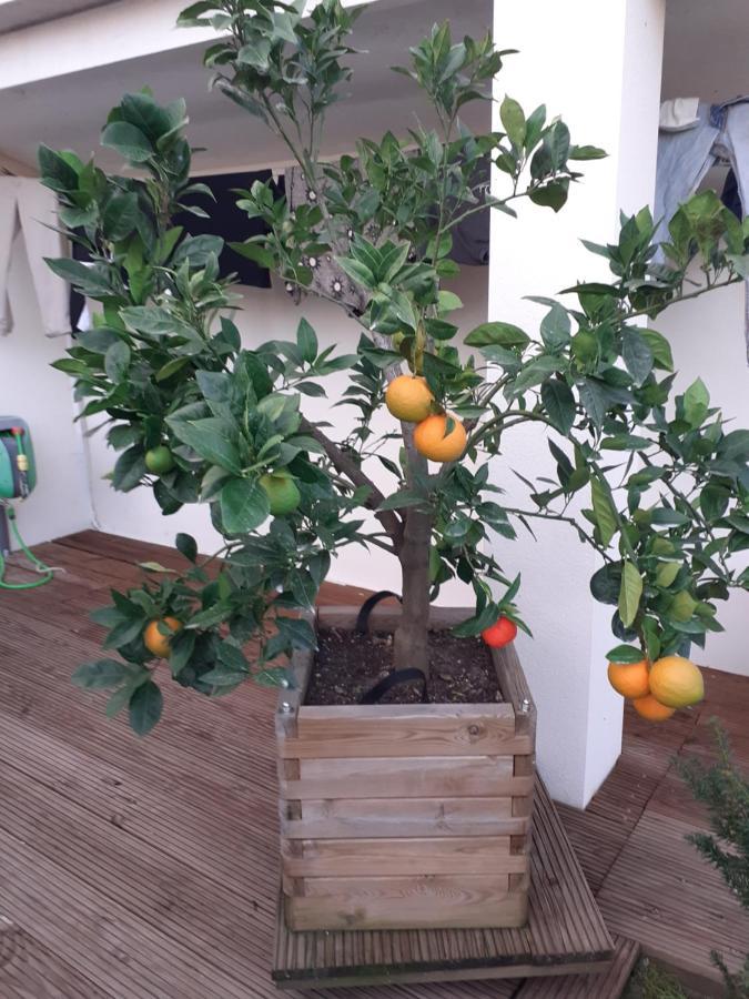 Chez Jeanfi Bed & Breakfast Fronsac  Екстериор снимка